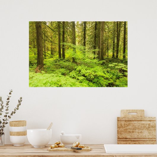 Poster forêt ancienne à la forêt des Patriarches (Cuisine)