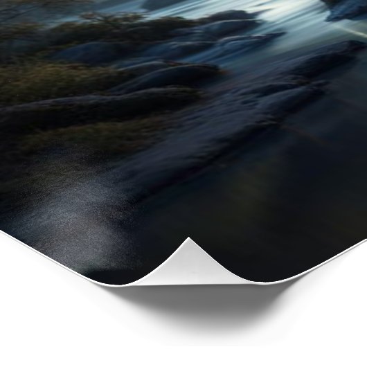 Poster Forêt Assistant (Coin)