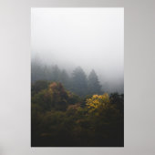 Poster Forêt automnale enveloppée de brouillard (Devant)