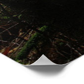 Poster Forêt | Auvergne France (Coin)