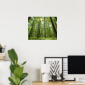 Poster Forêt avec soleil derrière (Bureau à domicile)