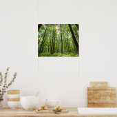 Poster Forêt avec soleil derrière (Cuisine)