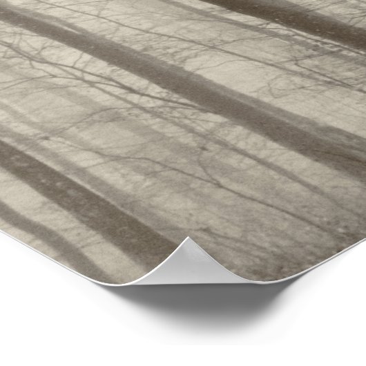 Poster Forêt B&W avec brouillard matinal derrière les arb (Coin)