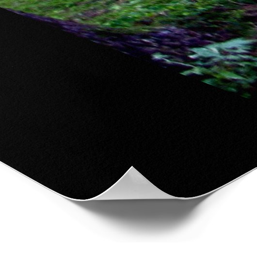 Poster Forêt bavaroise (Coin)