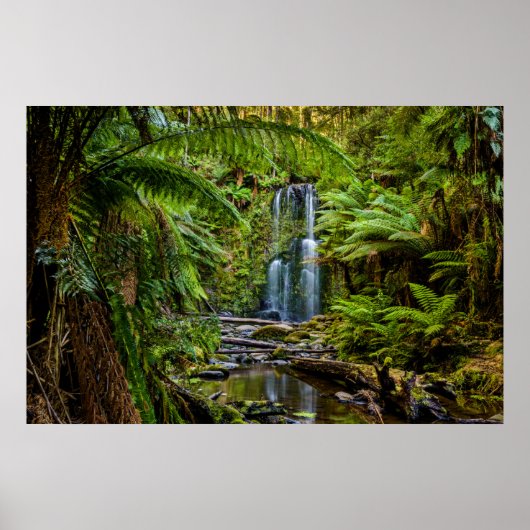 Poster Forêt | Beauchamp Falls Australie (Devant)