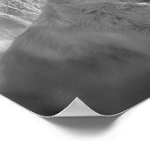 POSTER FORÊT BLANCHE EN BOIS BLANC (Coin)