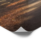 Poster Forêt | Bois (Coin)