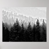 Poster forêt brumeuse (Devant)