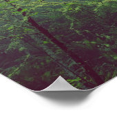 Poster Forêt brumeuse (Coin)