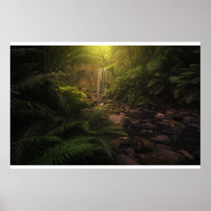 Poster Forêt   Cascade Sunlight Highlights