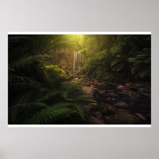 Poster Forêt | Cascade Sunlight Highlights (Devant)