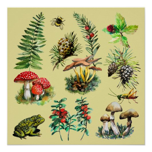 Poster Forêt, champignons sauvages (Devant)