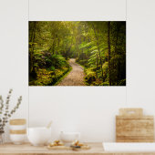 Poster Forêt | Chemin De Marche Dans La Forêt (Cuisine)