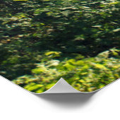 Poster Forêt | Chemin forestier Hambourg Allemagne (Coin)