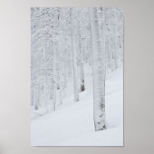 Poster Forêt couverte neige hiver merveilleuse (Devant)