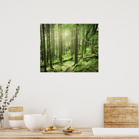 Poster Forêt dans le parc national Killarney | Kerry, Irl (Cuisine)