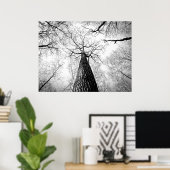 Poster Forêt d'arbres d'automne noir et blanc (Bureau à domicile)