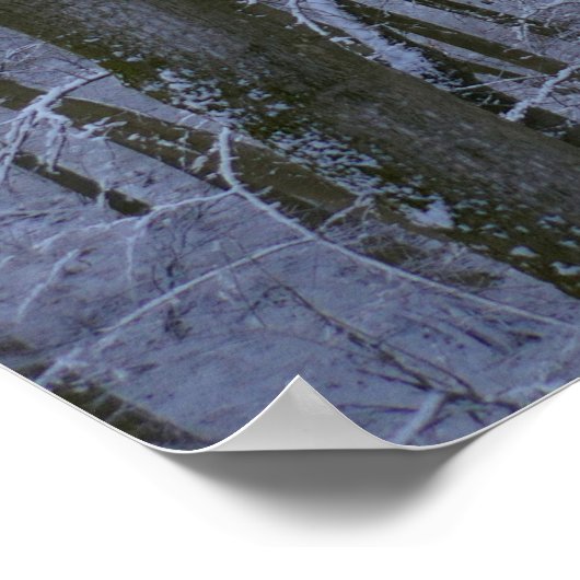 Poster Forêt d'arbres neigeux (Coin)