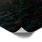 Poster Forêt | Dark Foggy Woods Norfolk UK (Coin)