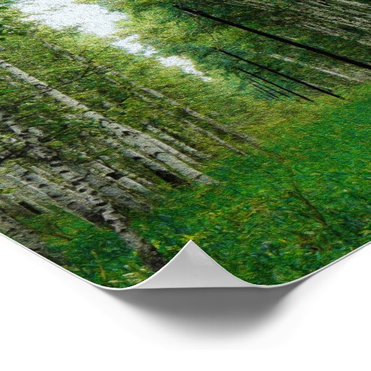 Poster Forêt d'Art de Bouleau Beau (Coin)