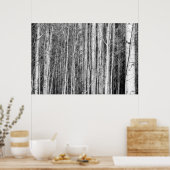 Poster Forêt d'Aspen (Cuisine)