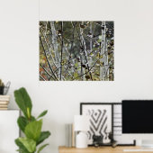 Poster Forêt d'Aspen (Bureau à domicile)