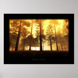 Poster forêt d'automne