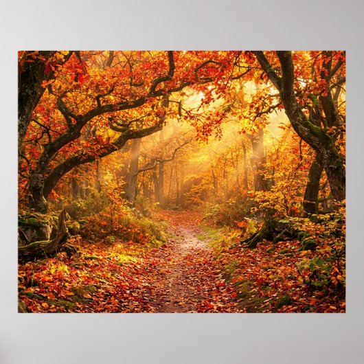 Poster Forêt d'automne (Devant)