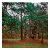 Poster Forêt d'automne (Devant)