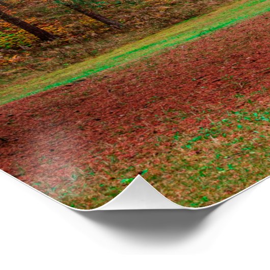 Poster Forêt d'automne (Coin)