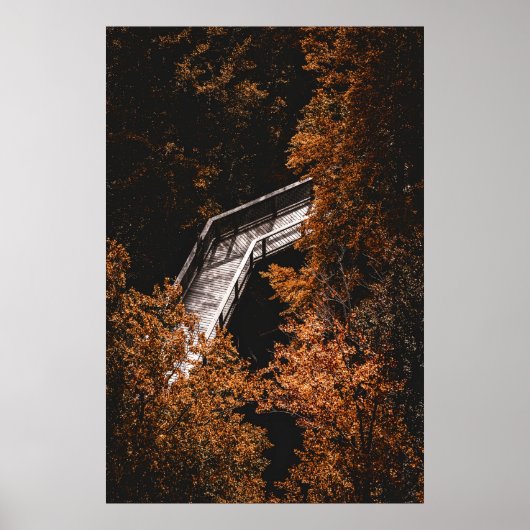 Poster Forêt d'automne avec chemin en bois (Devant)