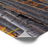 Poster Forêt d'automne d'or étonnante (Coin)