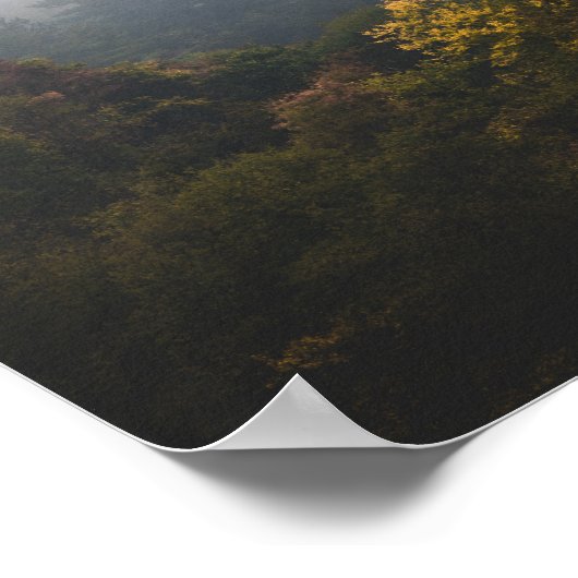 Poster Forêt d'automne enveloppée de brouillard (Coin)