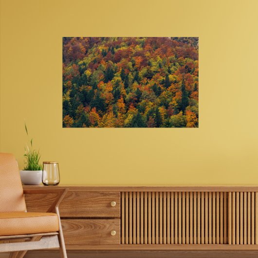 Poster Forêt d'automne époustouflante (Salon 2)