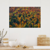 Poster Forêt d'automne étonnante (Cuisine)