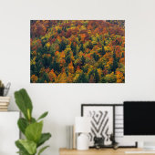 Poster Forêt d'automne étonnante (Bureau à domicile)