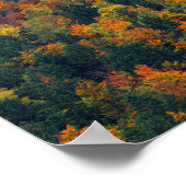 Poster Forêt d'automne étonnante (Coin)