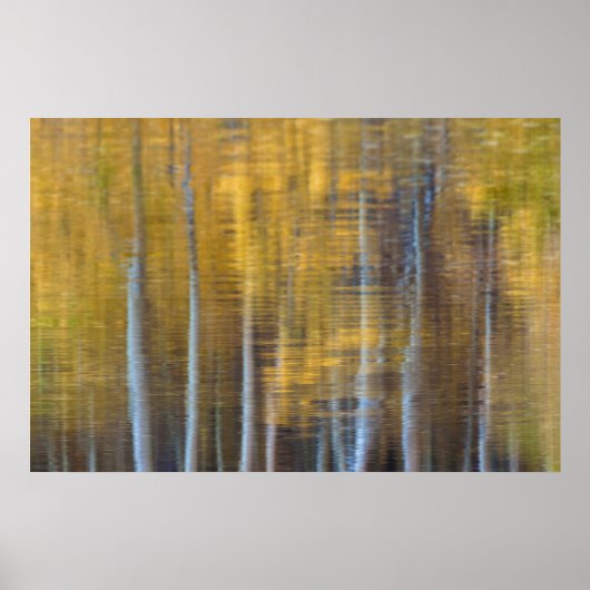 Poster Forêt d'automne, réflexion abstraite (Devant)