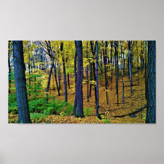 Poster Forêt d'automne, West Bend, Wisconsin (Devant)