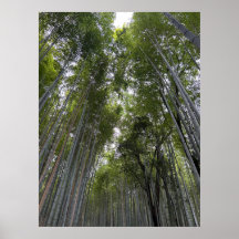 Forêt de bambou - Kyoto