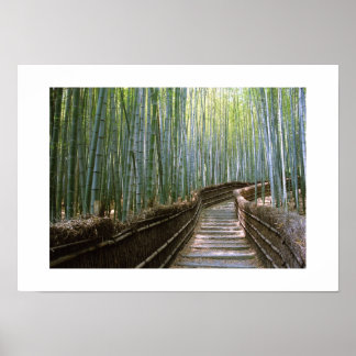 Poster Forêt de bambou : Kyoto, Japon