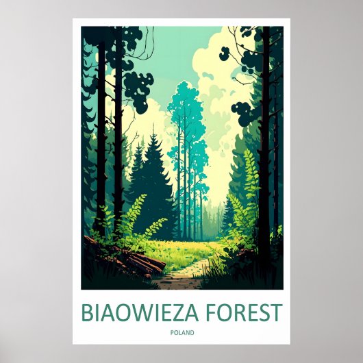 Poster Forêt de Białowieża 1 (Devant)
