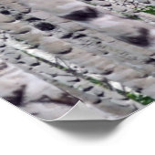 Poster Forêt de Birch Nature (Coin)