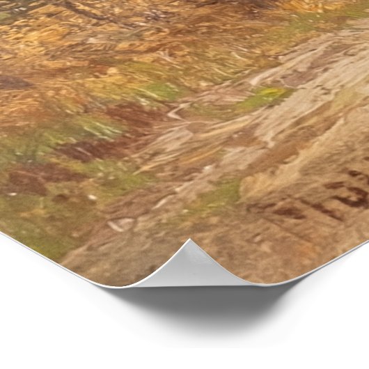 Poster Forêt de bouleau - Hugo Mühlig (Coin)