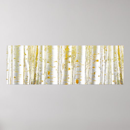 Poster Forêt de bouleaux d'or et de blanc (Devant)