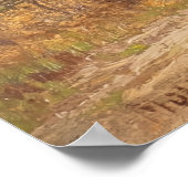 Poster Forêt de bouleaux – Hugo Mühlig (Coin)