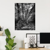Poster forêt de bouleaux noir et blanc (Bureau à domicile)