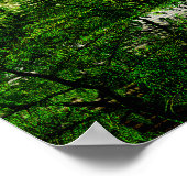 Poster forêt de carbonifère (Coin)