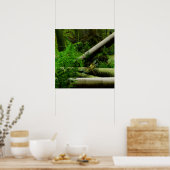 Poster forêt de carbonifère (Cuisine)