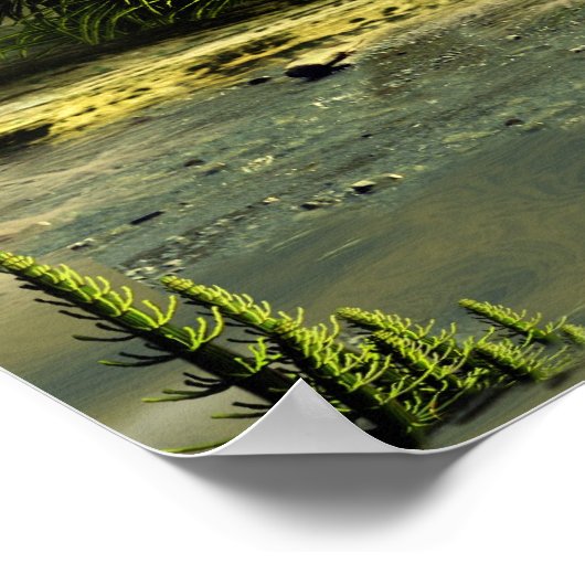 Poster Forêt de Carbonifère (Coin)